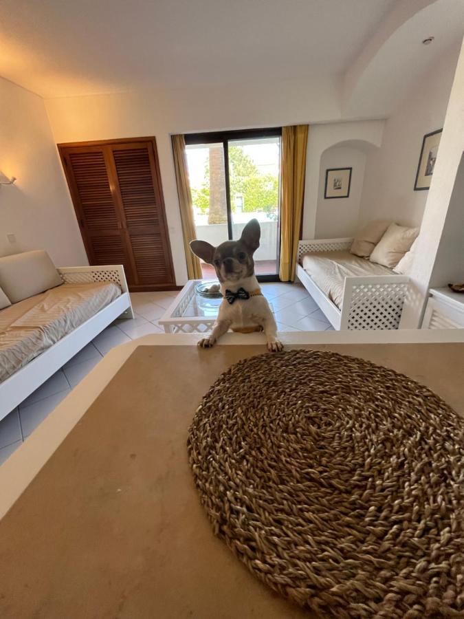 Lv Apartment Albufeira Eksteriør billede